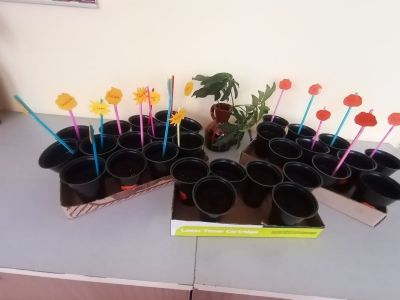0 - ДГ Слънце - Стамболийски